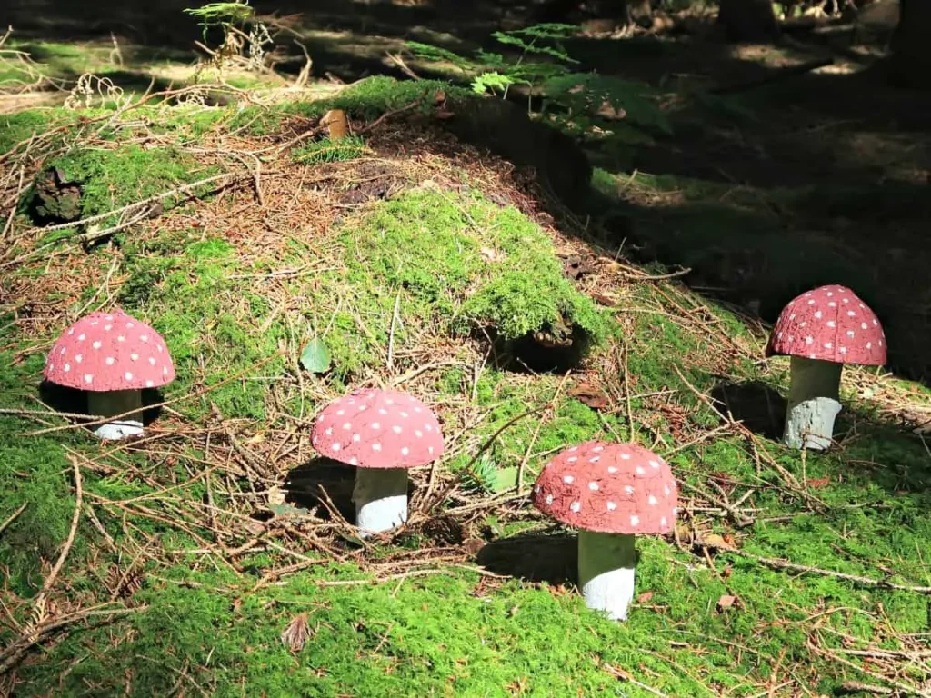 Fairy Toadstools