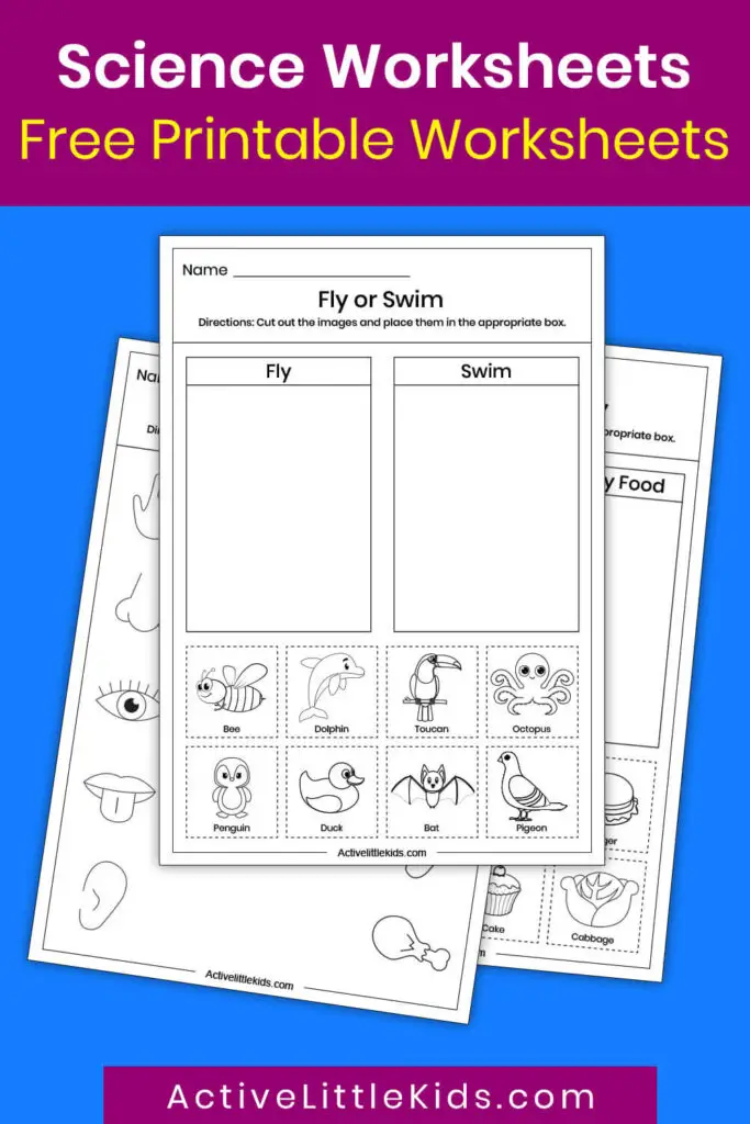 free science worksheets for kindergarten active little kids