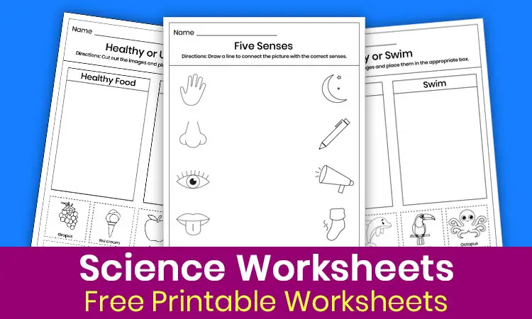 Free Science Worksheets for Kindergarten