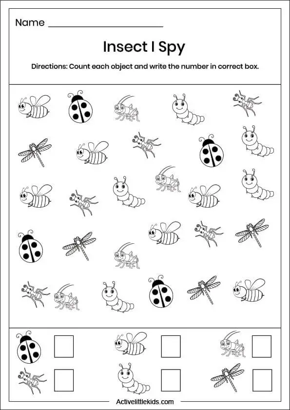 Insect i spy worksheet