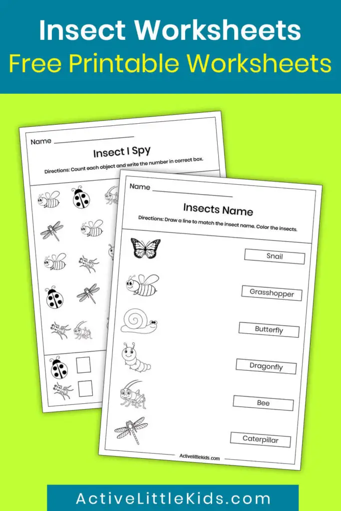 Insect worksheets for preschool pin