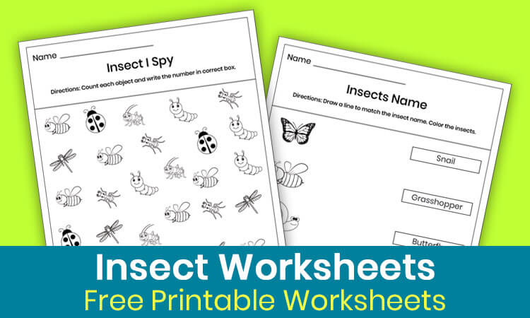 Insect worksheets for preschool