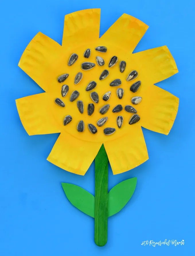 Paper Plate Sunflower