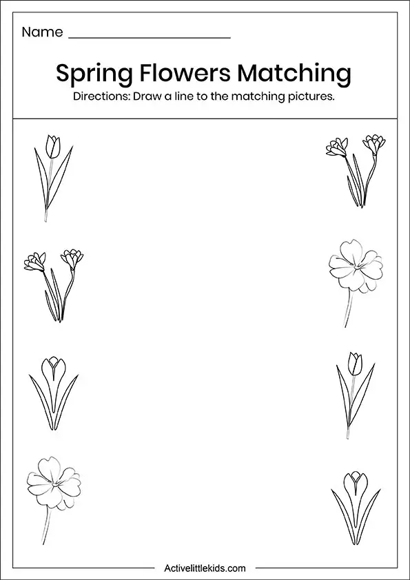 Spring flowers matching worksheets