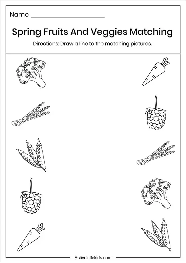 Spring fruits and vegetables matching worksheets