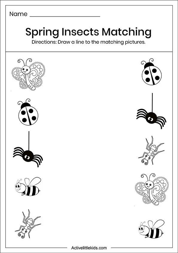 Spring insects matching worksheets