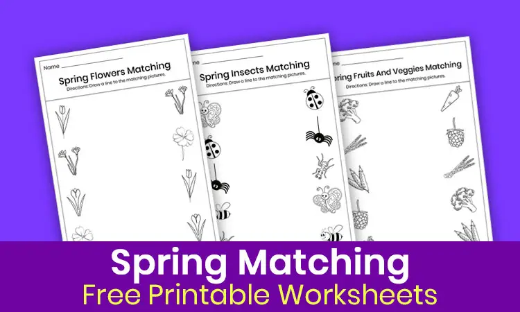 Spring matching worksheets for preschool