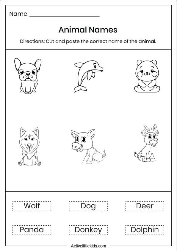 animals and name worksheets