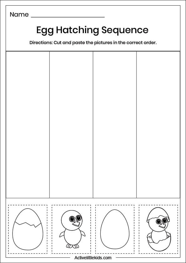 egg hatching sequence worksheet