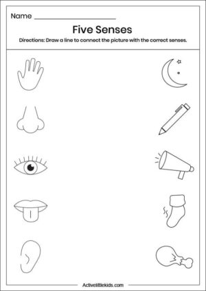 Free Science Worksheets for Kindergarten - Active Little Kids