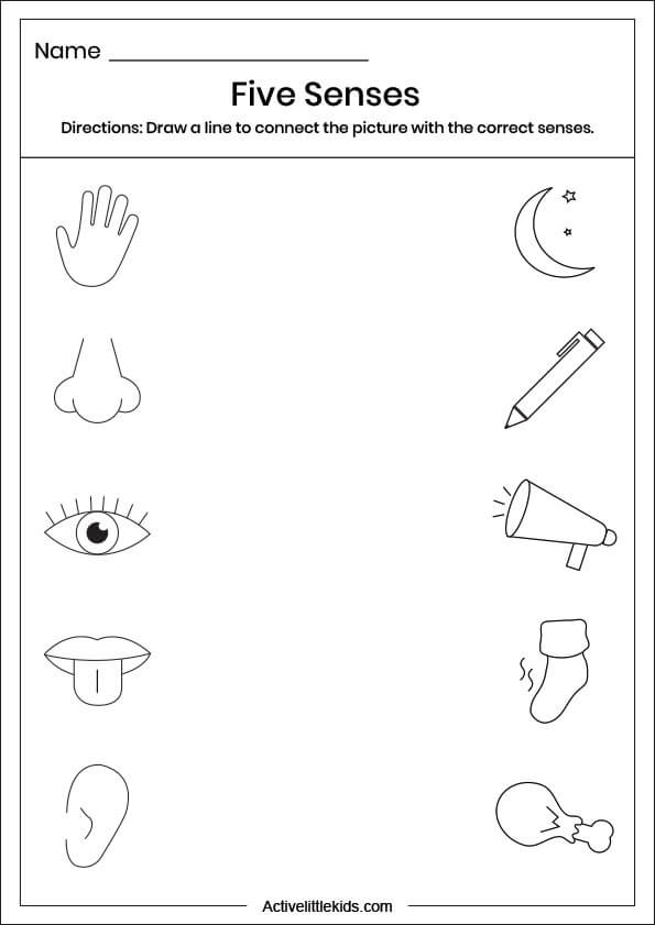 five senses connecting line worksheet