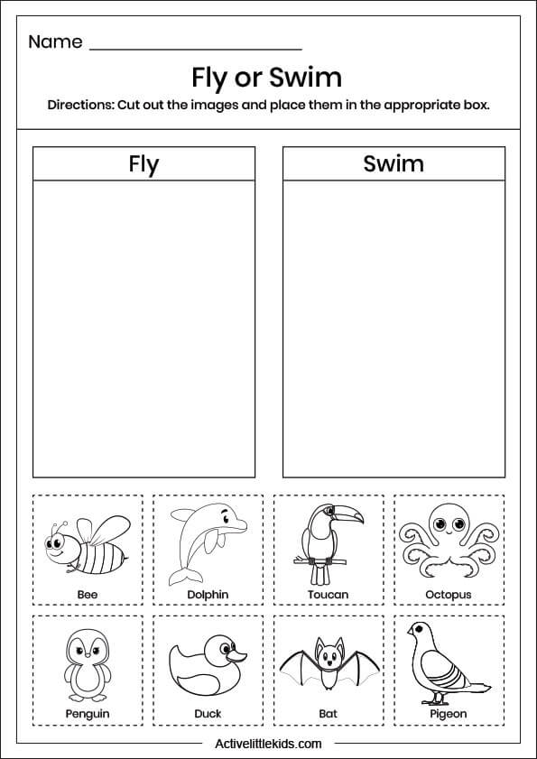 fly or swim worksheet