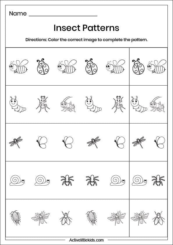 insect pattern worksheet