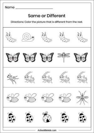 Free Same and Different Worksheets for Preschool - Active Little Kids