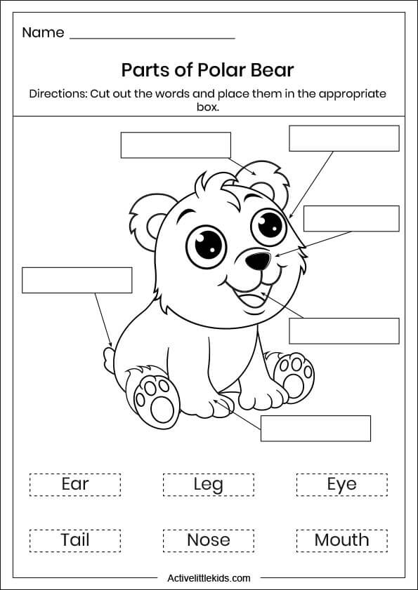 parts of polar bear worksheet