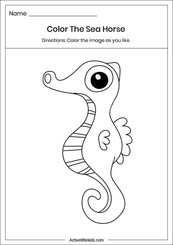 sea horse coloring worksheet