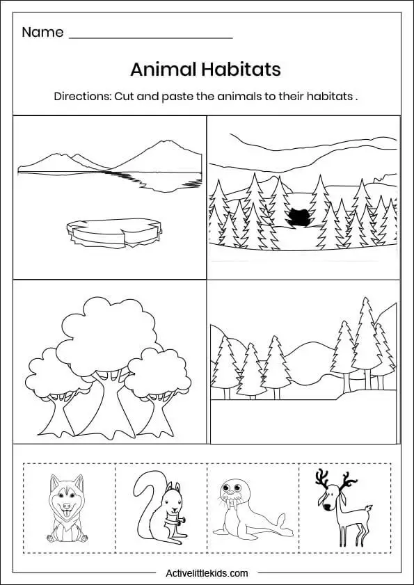 winter animal habitats worksheet